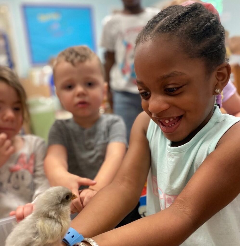 children holding a baby chick